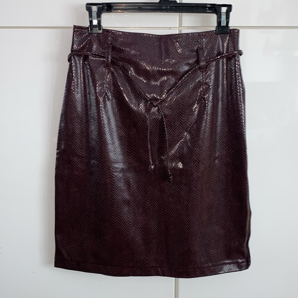 🌟LAST CHANCE 🌟 Brown Vinyl Skirt - Picture 2 of 7